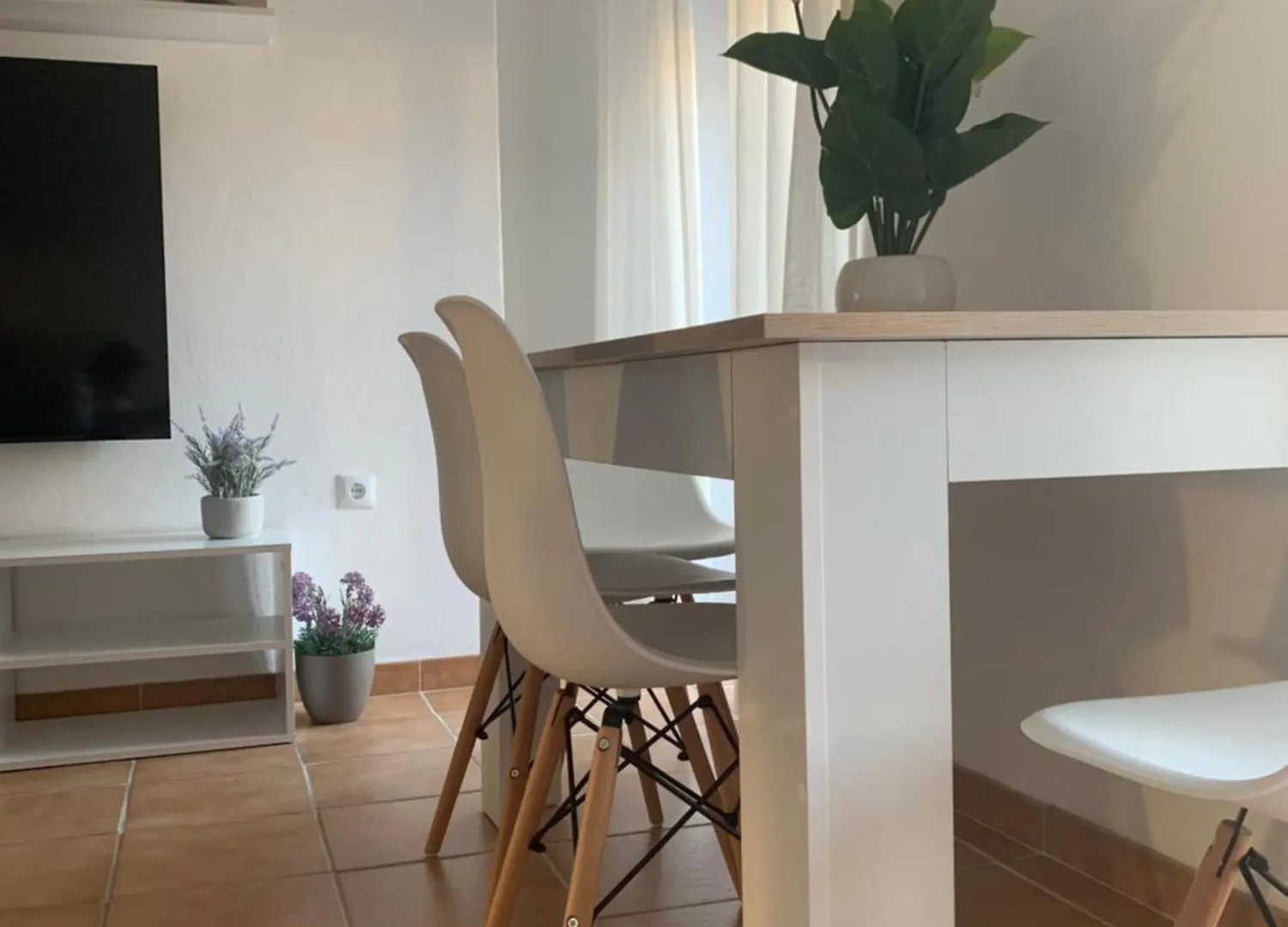 Apartamento En Casco Historico contacts